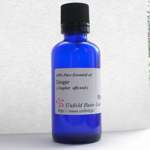 ジンジャー50ml