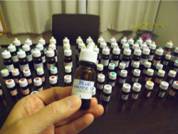 oils-bluelotus(変換後) oils-bluelotus(変換後)
